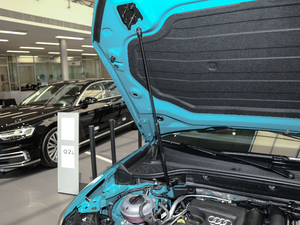 2019款35TFSI 上市专享版 国VI 其它