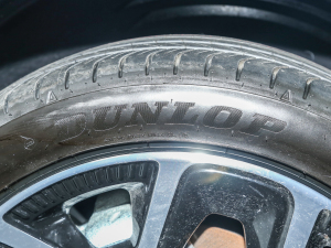 2022PulseĄӰ ݆̥Ʒ