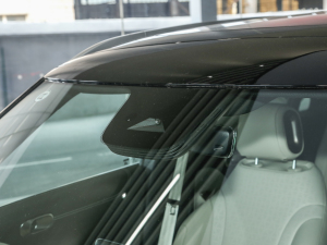 2022PulseĄ(dng) (x)(ji)^