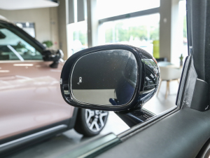 2022PulseĄ(dng) (x)(ji)^