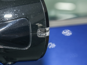 2022PulseĄ(dng) (x)(ji)^