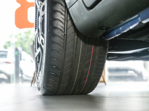 2022PulseĄ(dng) (x)(ji)^