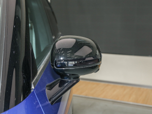 2022PulseĄ(dng) (x)(ji)^