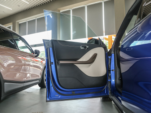 2022PulseĄӰ {λ܇T