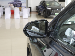 2024sҫ 1.5L DE-i 100KM 7 (x)(ji)^