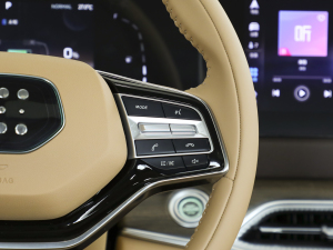 2024sҫ 1.5L DE-i 100KM 7 п؅^(q)