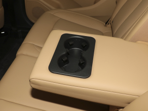 2024sҫ 1.5L DE-i 100KM 7 g