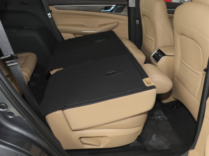 2024sҫ 1.5L DE-i 100KM 7 g