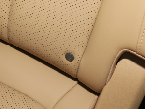 2024sҫ 1.5L DE-i 100KM 7 g