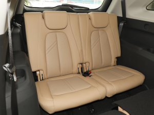 2024sҫ 1.5L DE-i 100KM 7 g