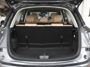 2024sҫ 1.5L DE-i 100KM 7 g