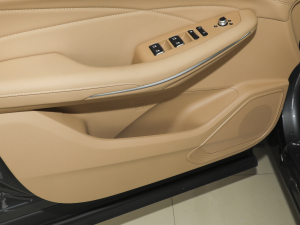 2024sҫ 1.5L DE-i 100KM 7 g