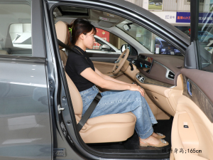 2024sҫ 1.5L DE-i 100KM 7 g