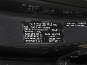 2024sҫ 1.5L DE-i 100KM 7 