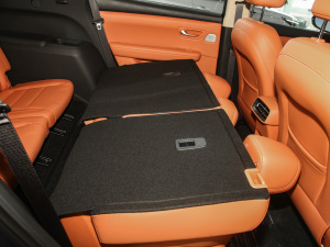 2026165km LmUltra 7 g