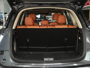 2026165km LmUltra 7 g