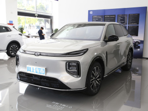 2025款215尊荣型 整体外观