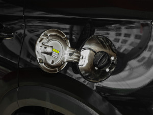 20241.5TGDI DCTǼҰ 5 ^