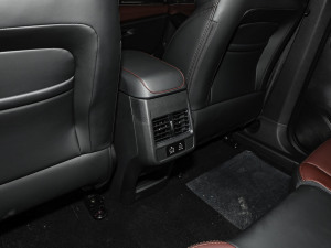 20241.5TGDI DCTǼҰ 5 п؅^(q)