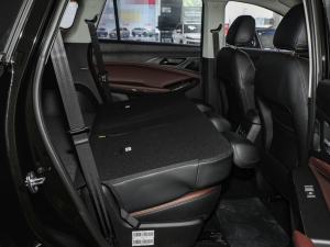 20241.5TGDI DCTǼҰ 5 g