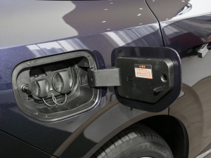 2024636Max늰 (x)(ji)^