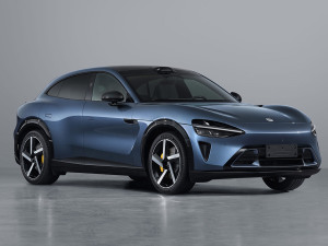 2025Lm(x)(q)Max w^