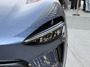 2025Max ˫  ϸ