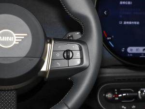 2024款452km COOPER SE 艺术家 中控区