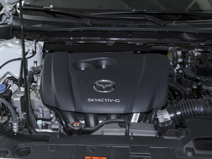 20202.5L {(ln)\(yn)(dng) 