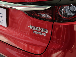 2020款2.0L 自动两驱蓝天品位版 细节外观