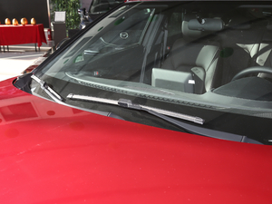 20212.5L ԄӃ{{Ȥ ˢ