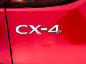 2021款2.0L 自动两驱蓝天领先版 细节外观