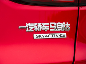 2021款2.0L 自动两驱蓝天领先版 细节外观