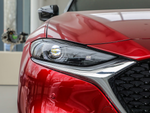 20212.5L Ԅ{켤 (ji)^