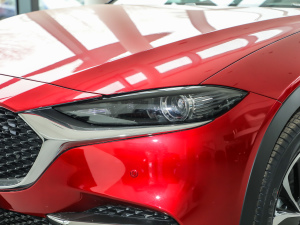 20212.5L Ԅ{켤 (ji)^