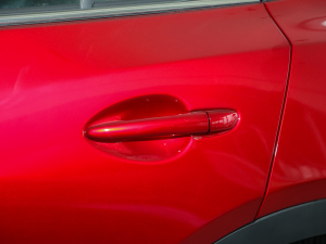 20212.5L Ԅ{켤 (ji)^