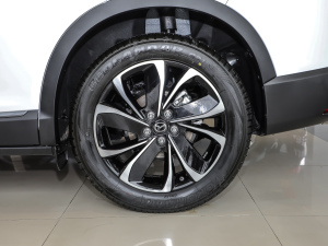 2021款2.5L 自动两驱蓝天驾趣版 细节外观