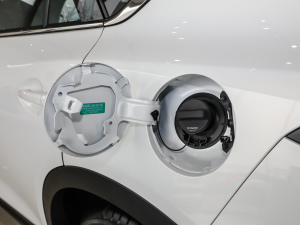 2021款2.5L 自动两驱蓝天驾趣版 油箱盖