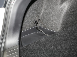 20212.5L Ԅ(dng)(q){(ln){Ȥ g