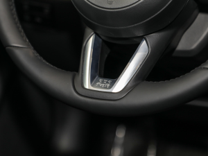 2021款2.5L 自动两驱蓝天驾趣版 中控区