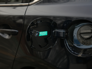 20212.0L {(ln)A (x)(ji)^