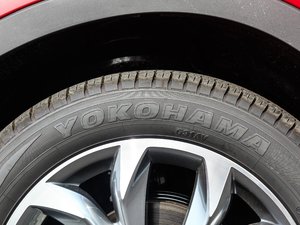 2018款2.5L 自动四驱蓝天无畏版 轮胎品牌