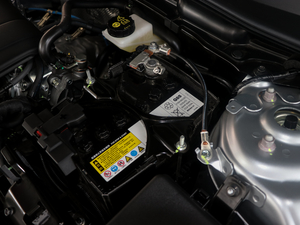 20182.0L ԄӃ(q){ƷλƼ 