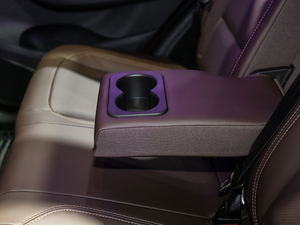 2019FLY 1.5T Ԅӿv V g