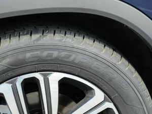 2019290TGDI DCTF ݆̥Ʒ