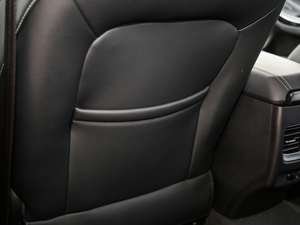 2019Pro 1.5T CVTɫ VI g