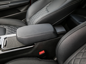 2019Pro 1.5T CVTɫ VI g