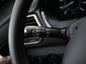 2020fȫ 1.5L քӾӢ п؅^(q)