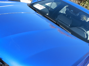 20201.6T DCT Pro (x)(ji)^