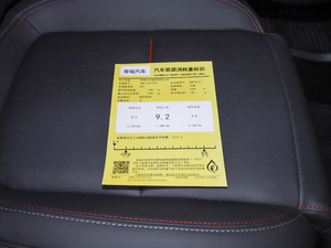 20201.6T DCT Pro ŲͺĘ(bio)ʾ